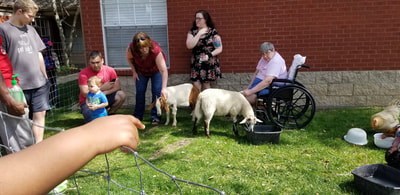 mobile petting zoo party