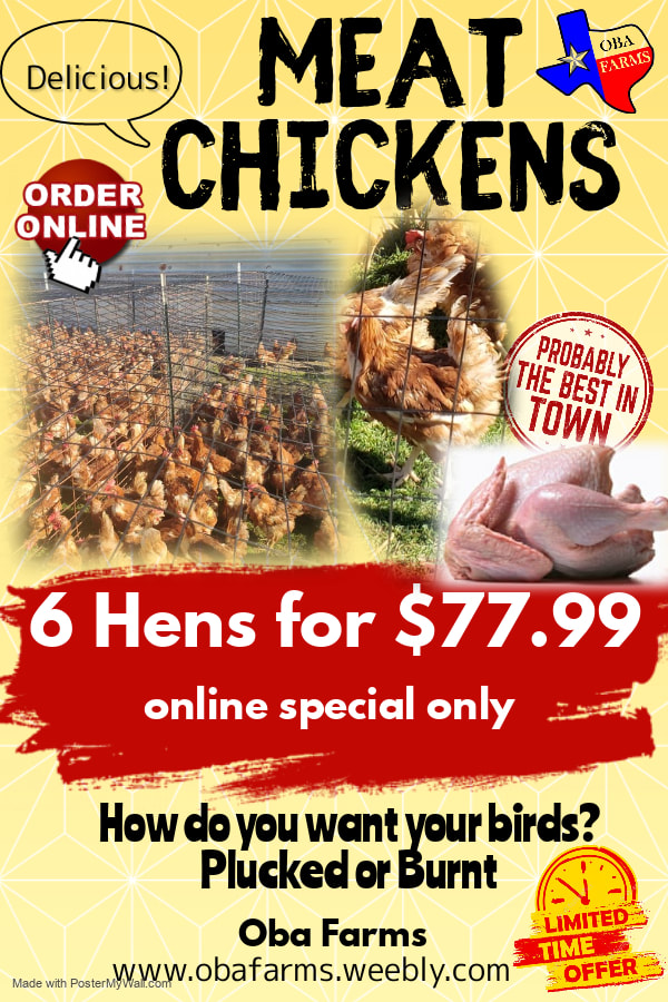 WHOLE GOAT MEAT, WHOLE CHICKEN HOLIDAY SPECIAL - NEAR ME IN DALLAS / FORT WORTH TEXAS